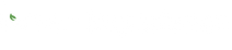 Green Experience