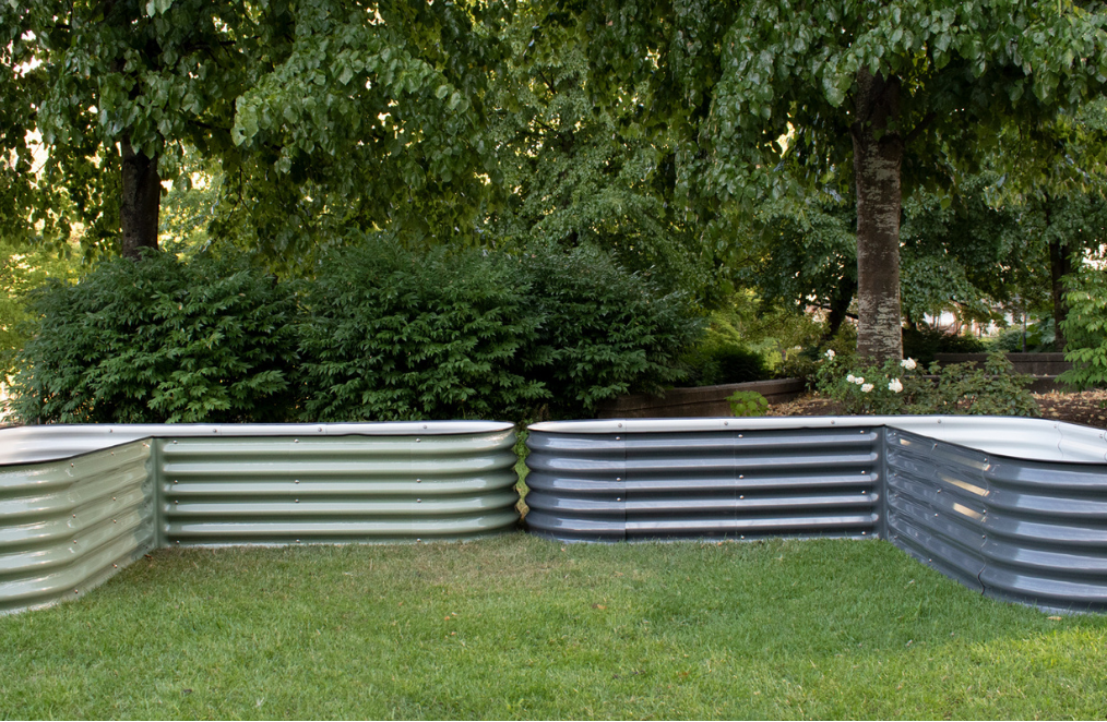 Why Winter Is the Perfect Time to Plan Your Garden