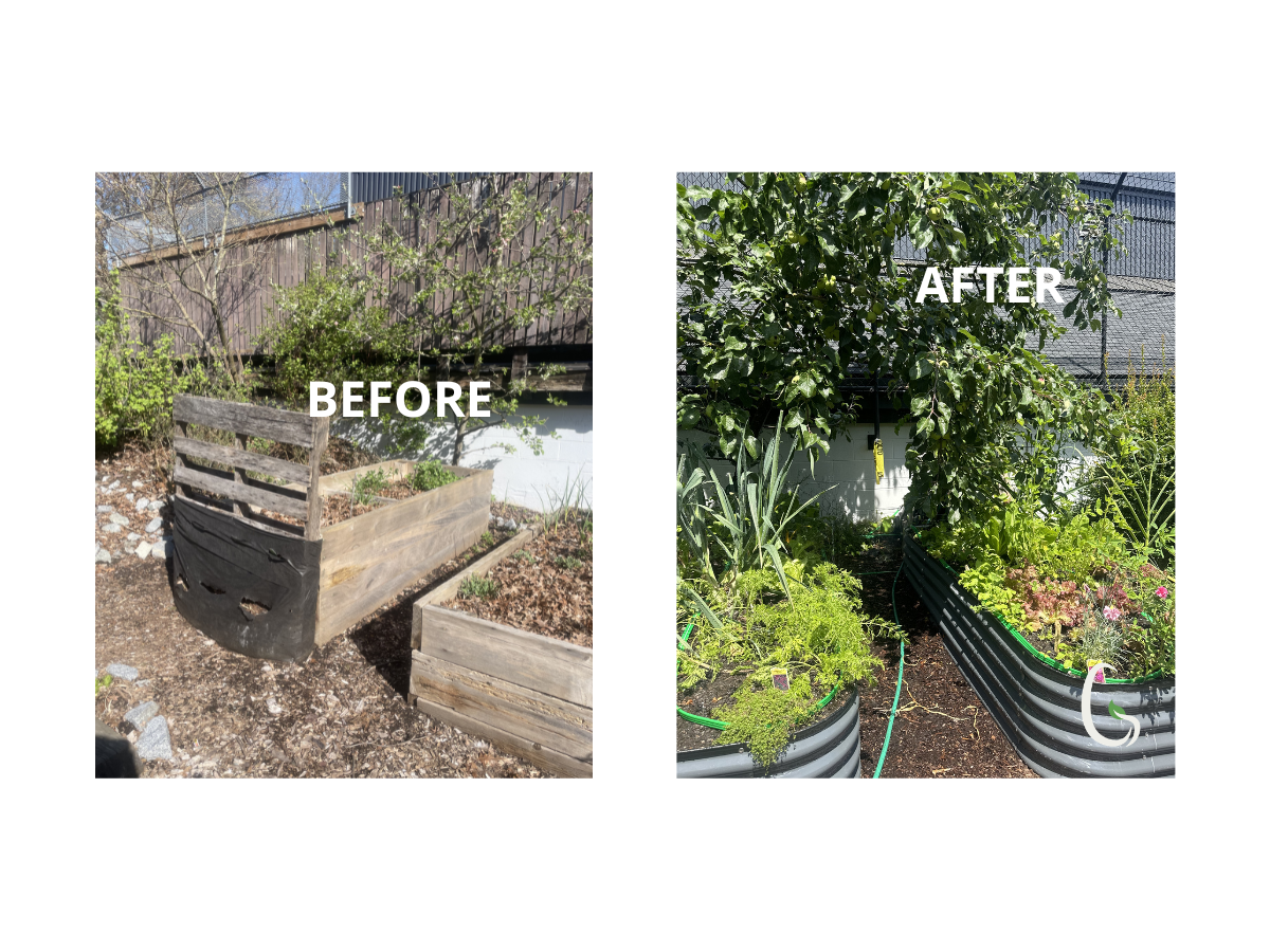 Growing More Than Vegetables at Kitsilano Community Centre.