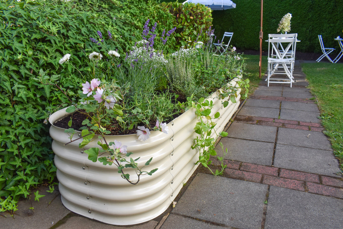 September Garden Checklist: 5 Things Your Garden Needs This Month