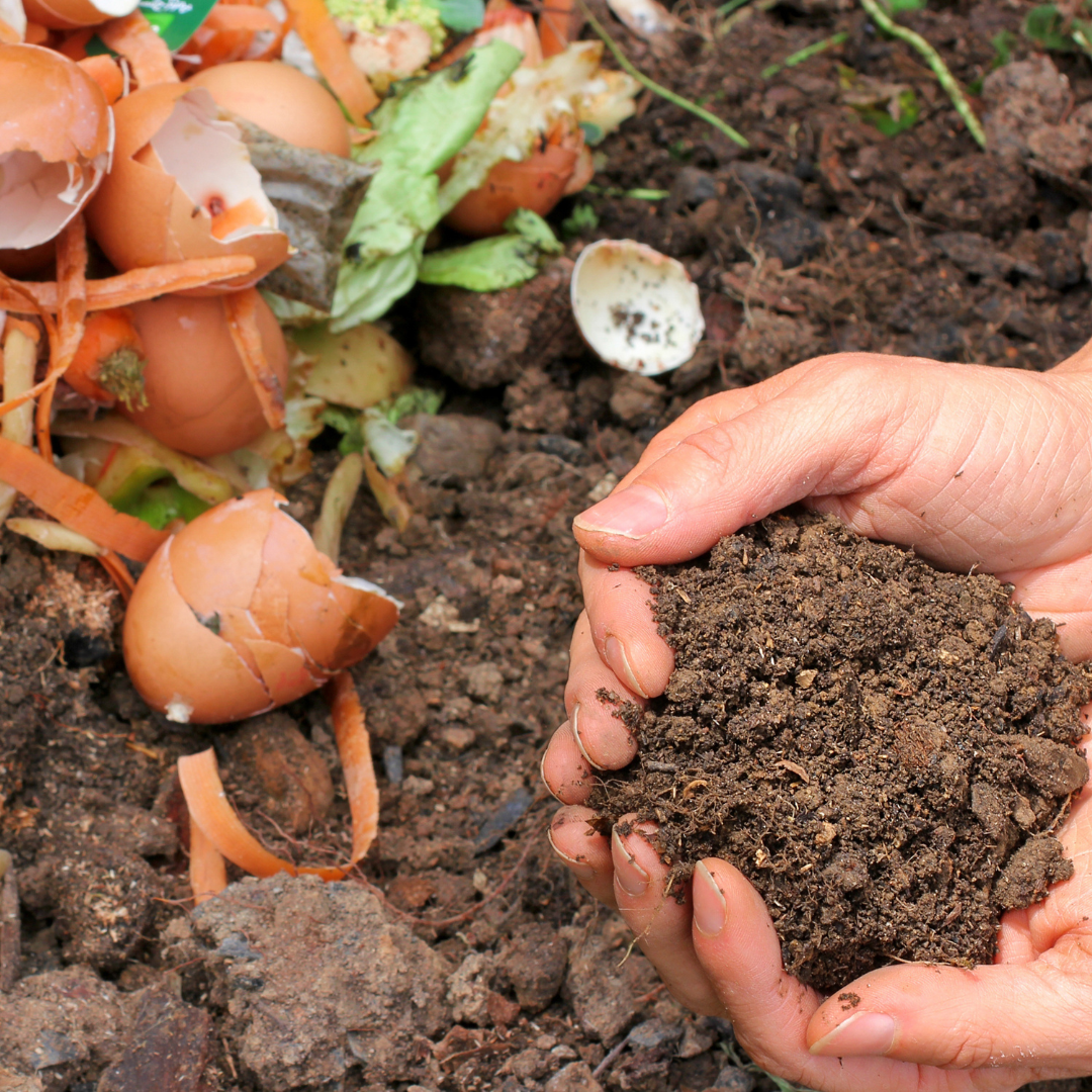 Why Composting Matters (And Why It Should Start in Your Kitchen)