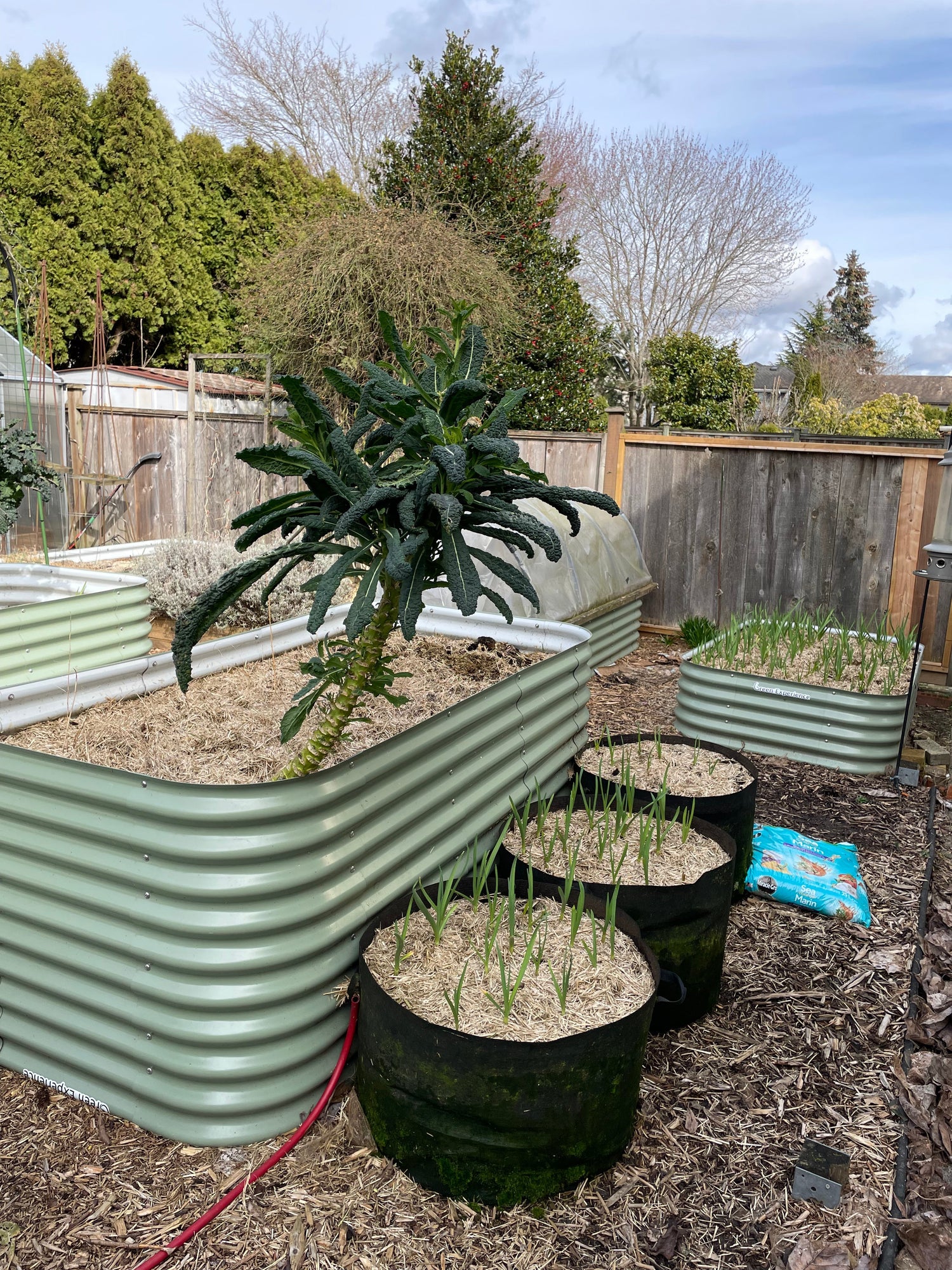 What to Plant in September in BC: Cold-Hardy Crops That Still Thrive