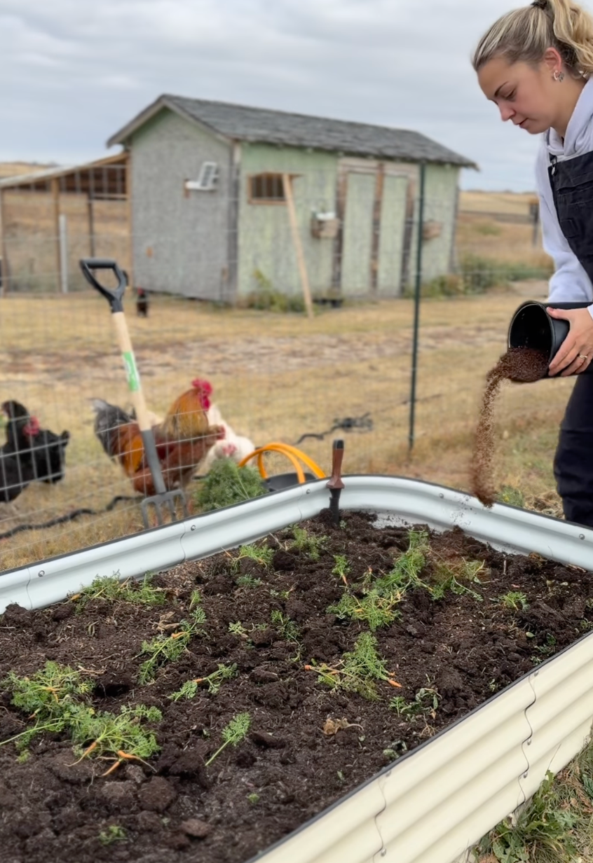 End-of-Season Guide: How to Put Your Raised Garden Bed to Rest for Winter
