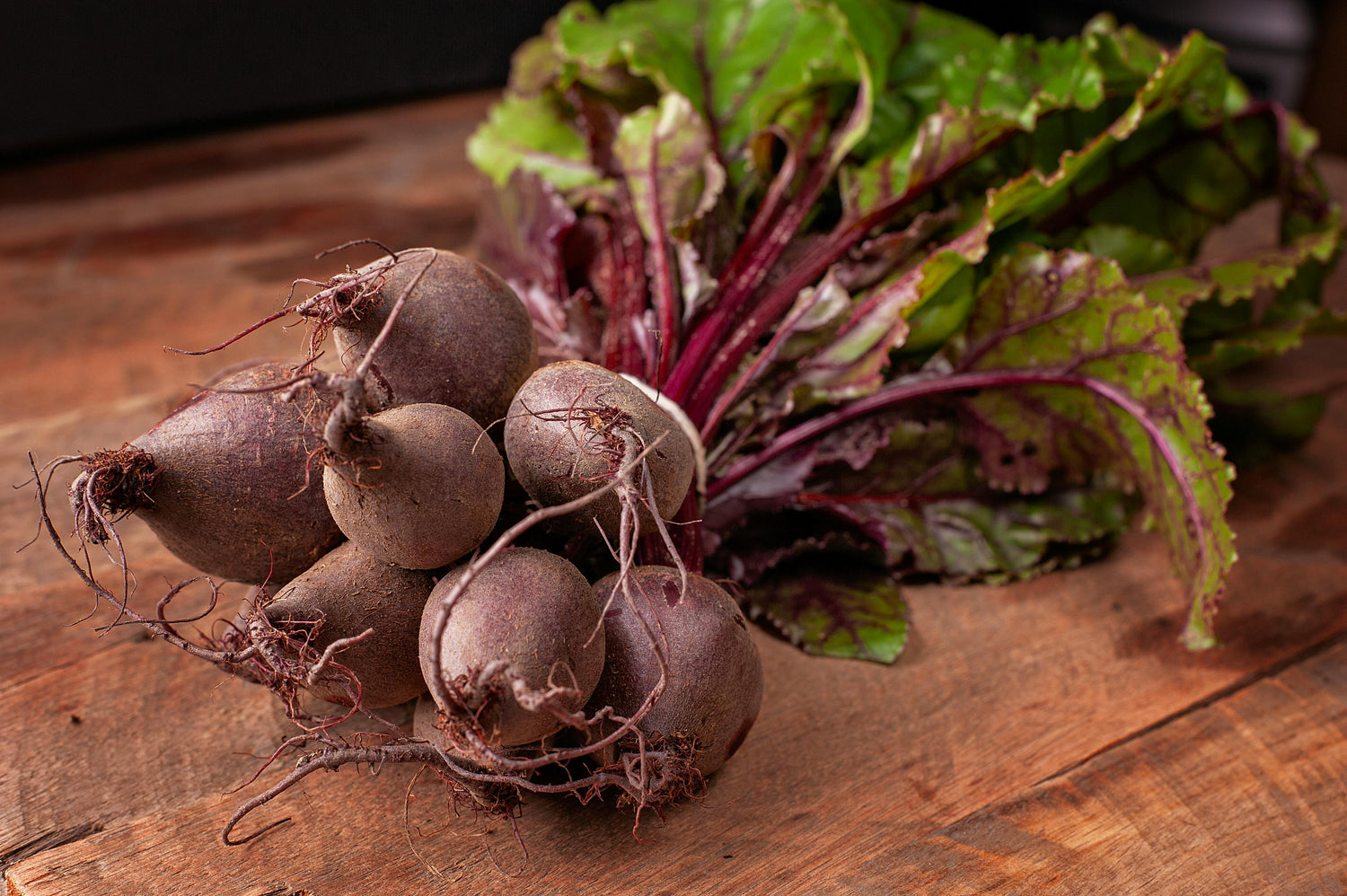 What to Plant in August: Fast-Growing Crops for a Fall Harvest