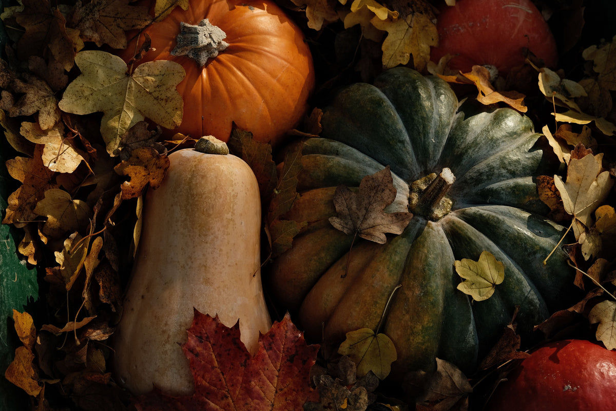 October Garden: 5 Things to Do Before the First Frost
