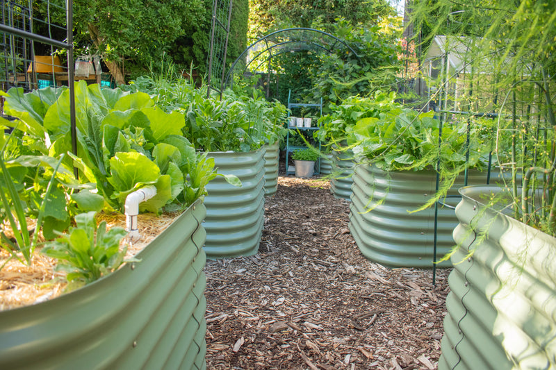 Samantha U. garden