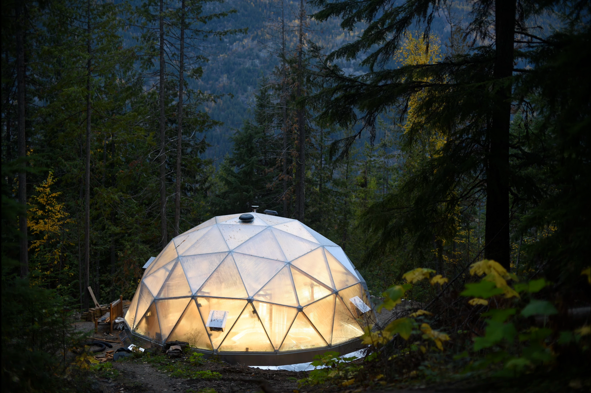 Designed for real backyards