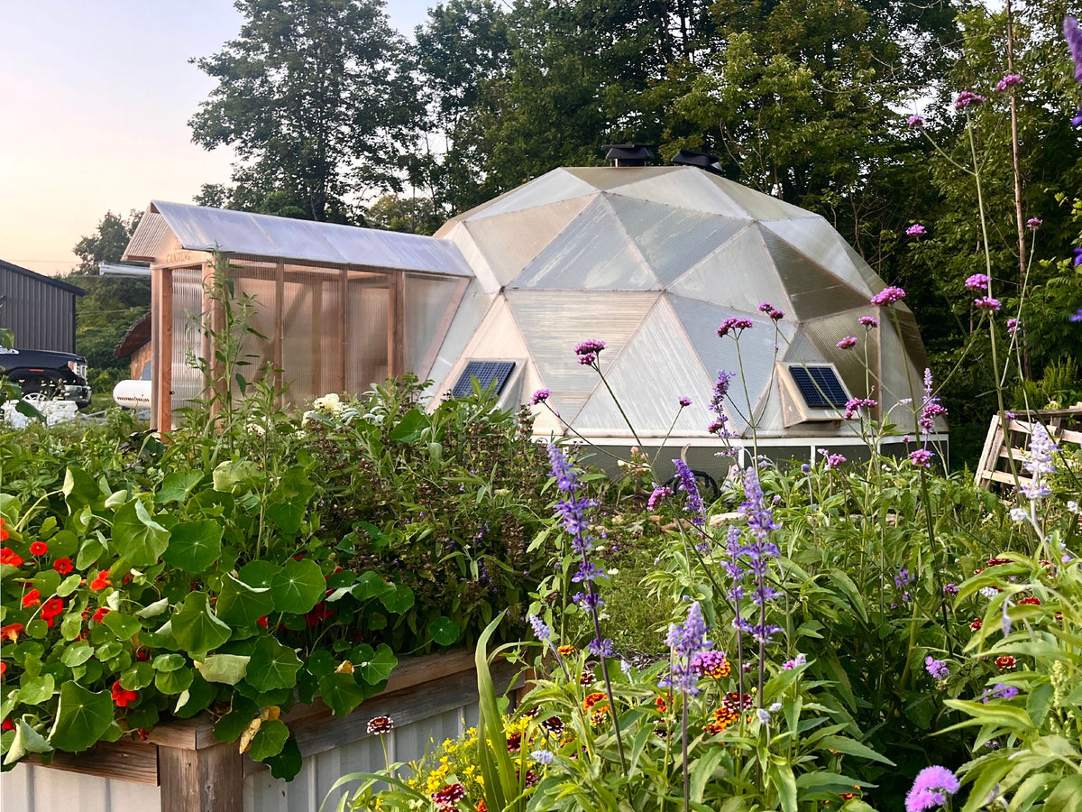 15-foot Arctic Acres Growing Dome in a residential backyard