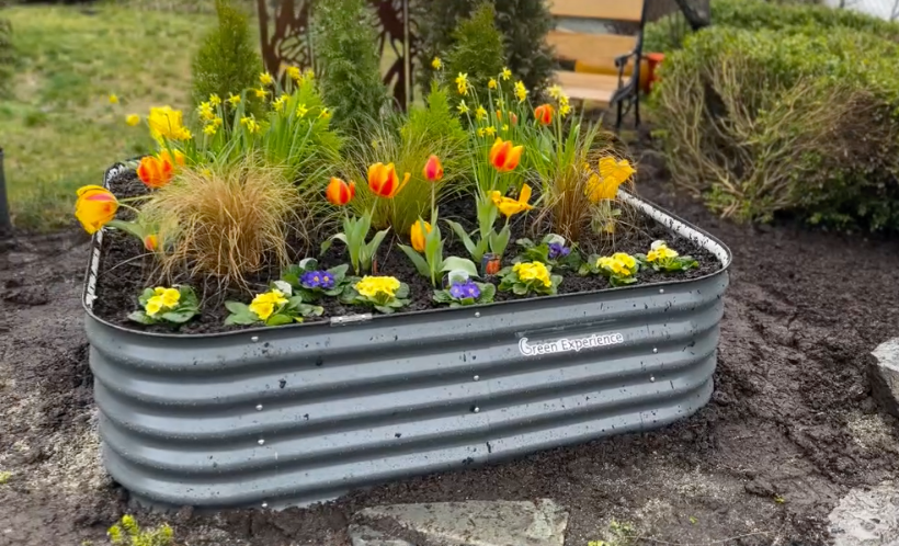 Raised beds for herbs