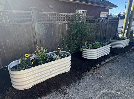 Tara P. garden