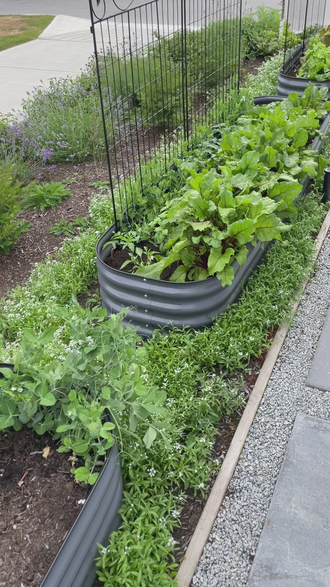 17" Tall Garden Bed Kit 9 in 1